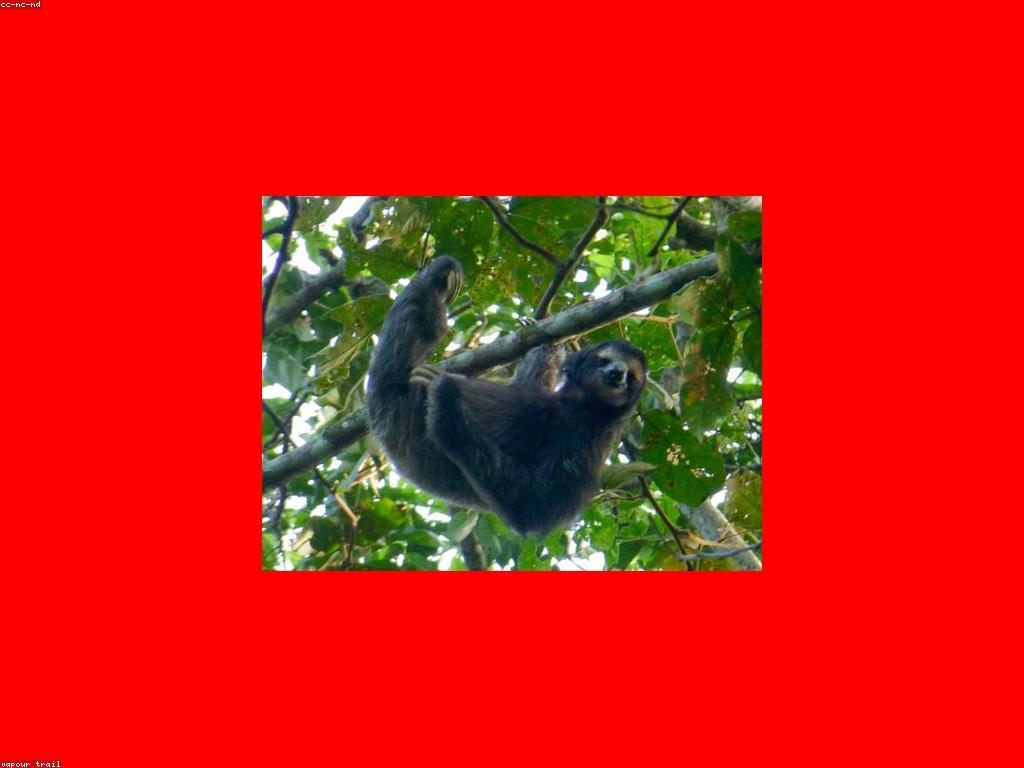 ចំណេះដឹងអំពីស្លុត
